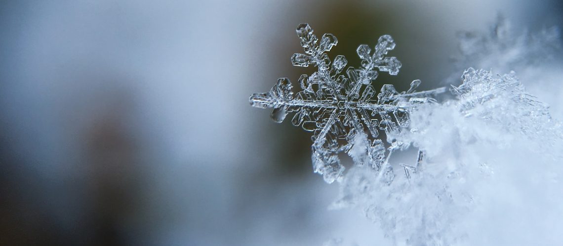 aaron-burden-5AiWn2U10cw-unsplash