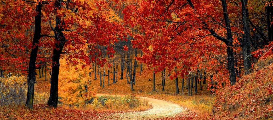 road-1072821_1280